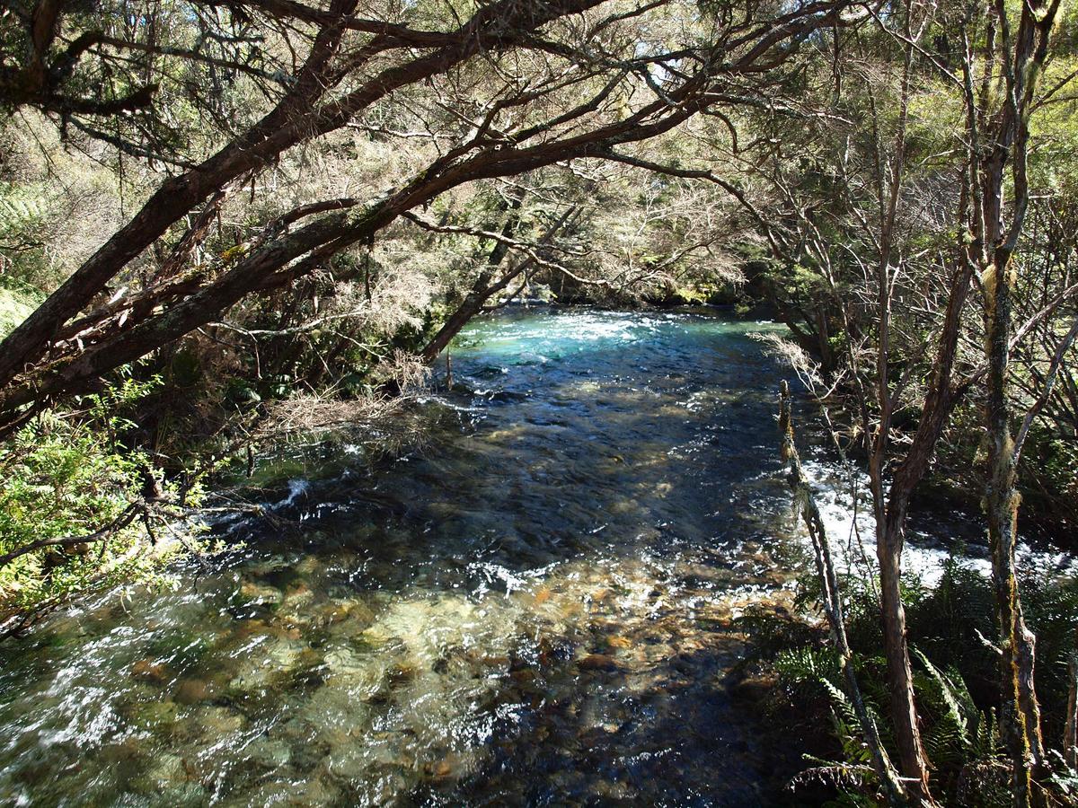 Annies Nirvana Lodge Backpackers Takaka Exterior foto